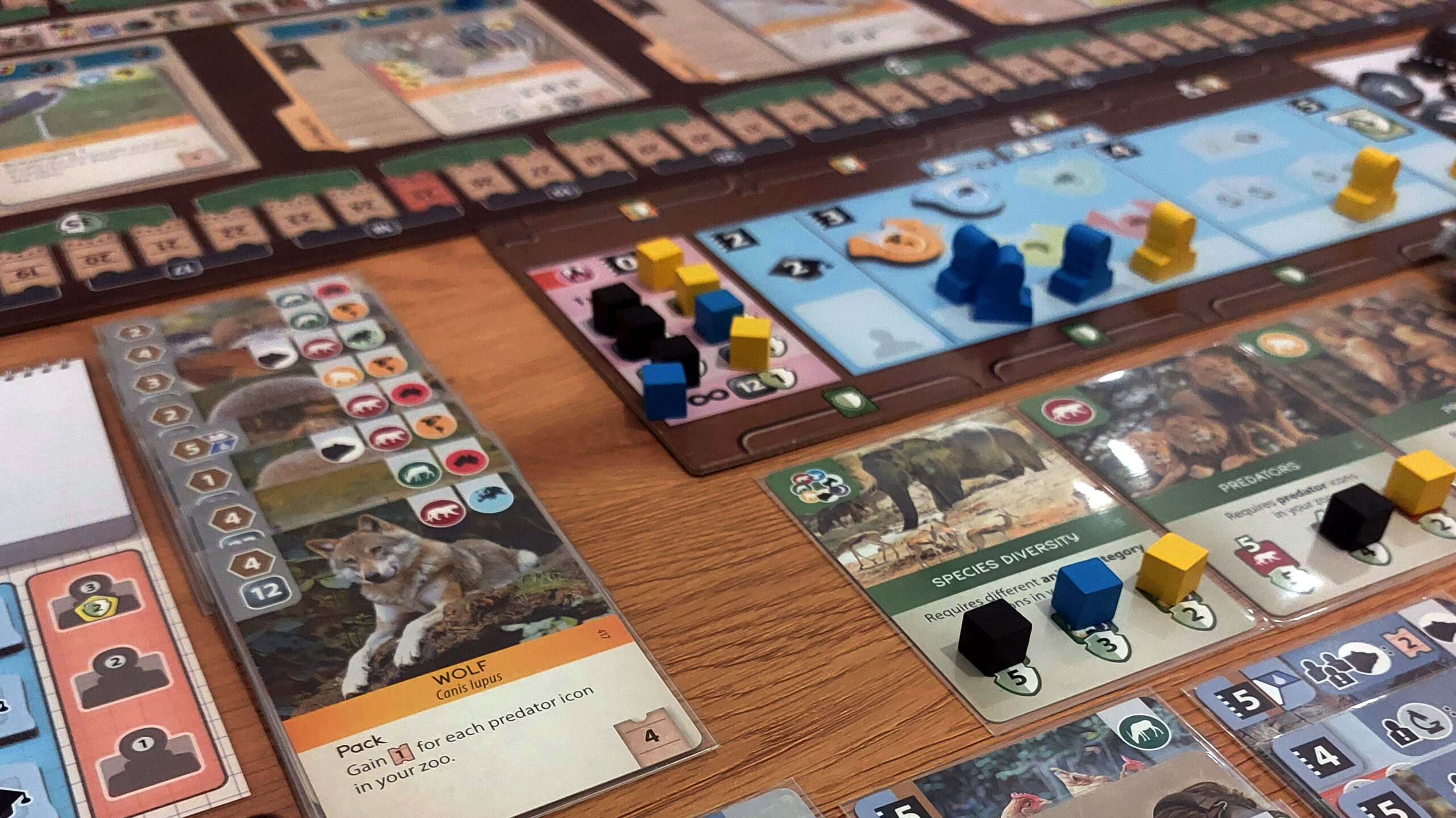 Ark Nova Board Game Micro Review | A Deep Strategy Euro